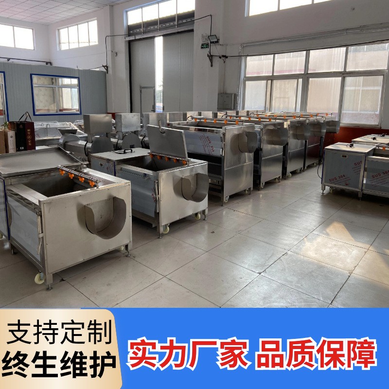 土豆红薯毛辊清洗机海蛎子去泥清洗设备猪蹄三七芋头去皮清洗机图3