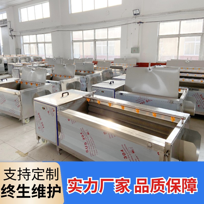 土豆红薯毛辊清洗机海蛎子去泥清洗设备猪蹄三七芋头去皮清洗机图5