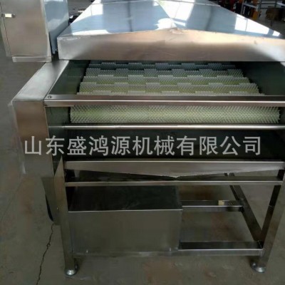红薯土豆去皮清洗机 全自动毛刷辊洗姜机 多功能根茎类药材清洗机