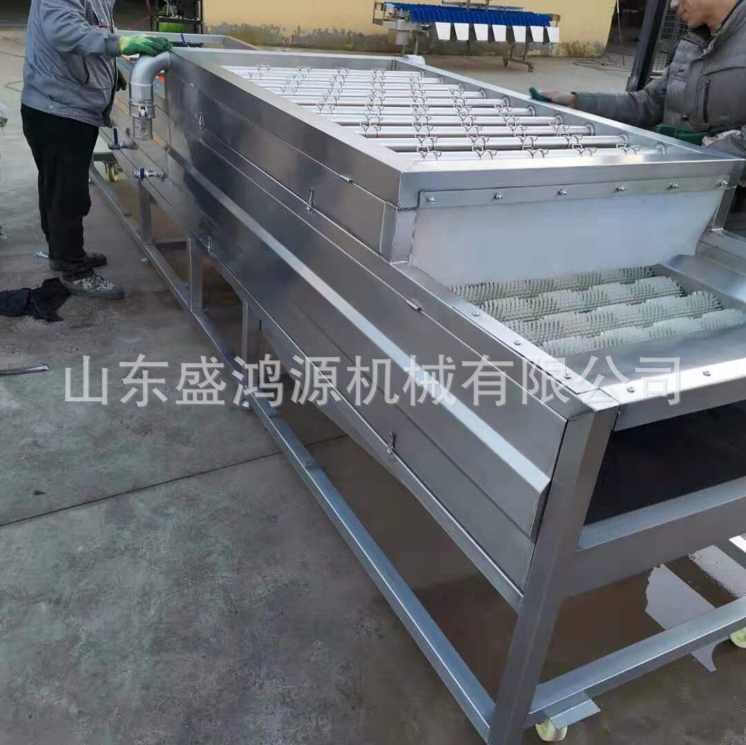 红薯土豆去皮清洗机 全自动毛刷辊洗姜机 多功能根茎类药材清洗机图4