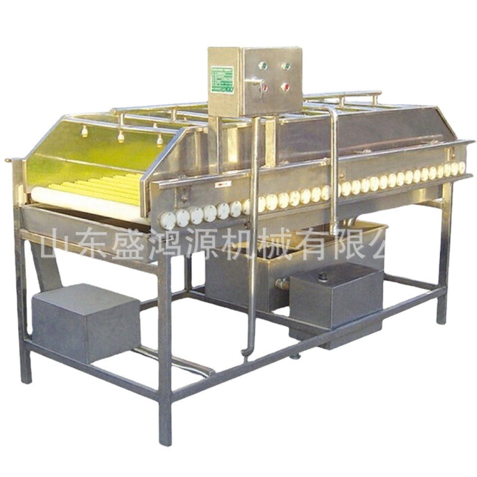 红薯土豆去皮清洗机 全自动毛刷辊洗姜机 多功能根茎类药材清洗机图5