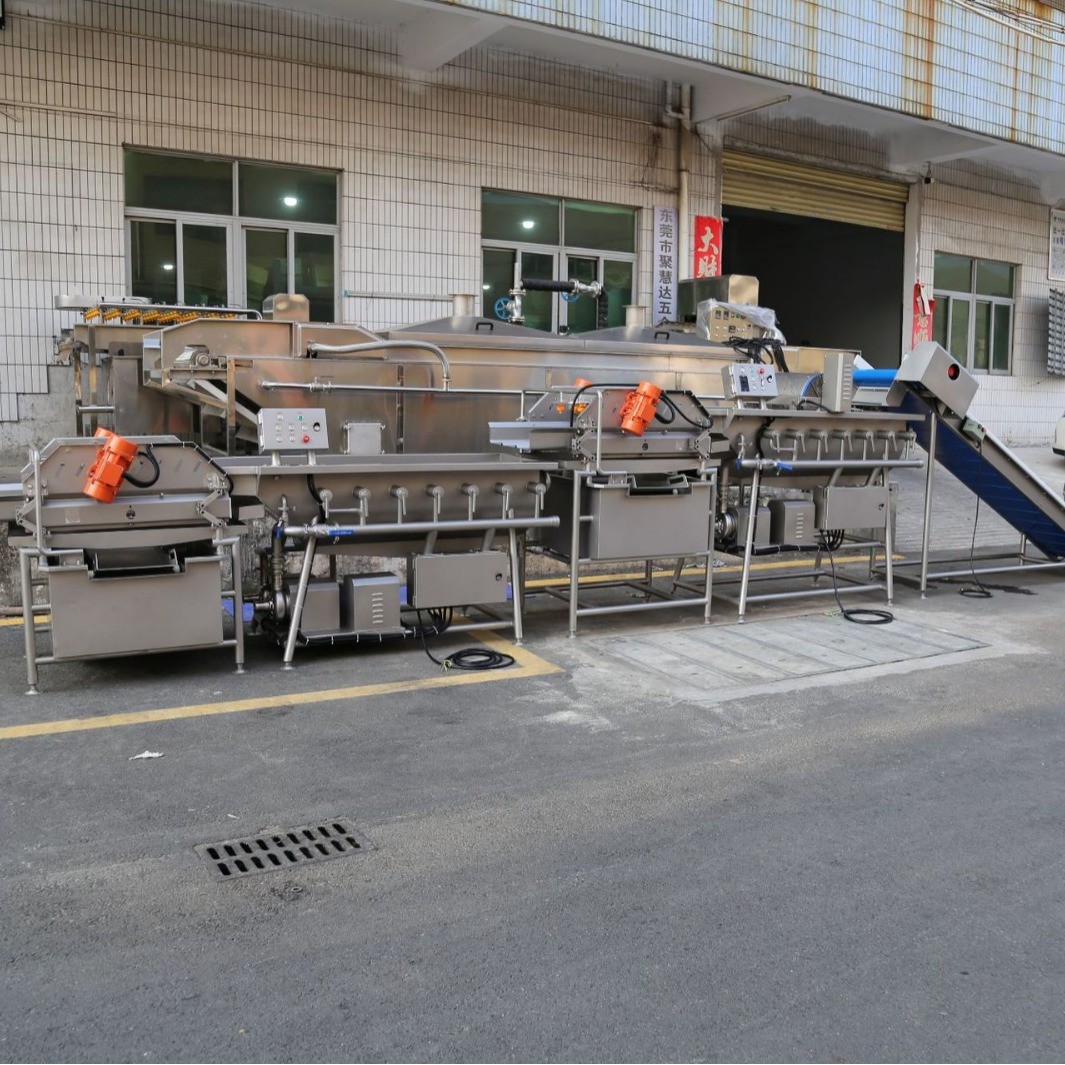 厂家直销全自动净菜加工设备果蔬清洗机不锈钢涡流清洗机气泡清洗图2