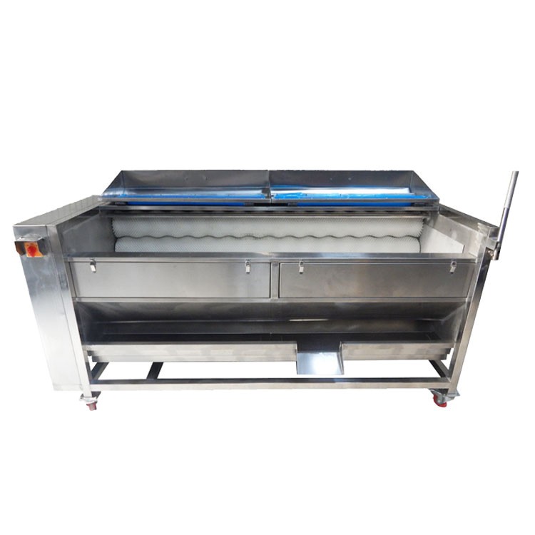 厂家直销全自动毛辊去皮清洗机土豆红薯毛刷清洗机去泥机中央厨房图4