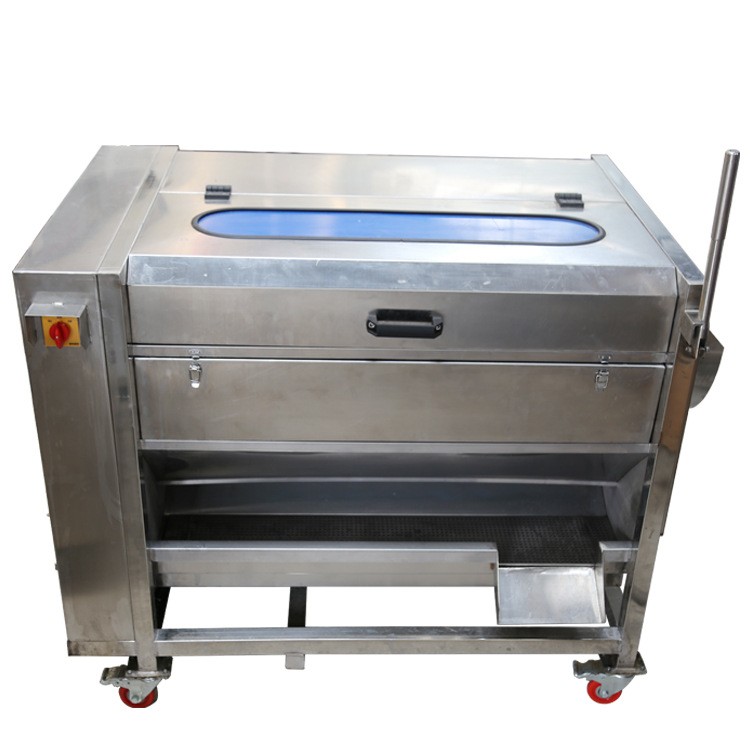 厂家直销全自动毛辊去皮清洗机土豆红薯毛刷清洗机去泥机中央厨房图5