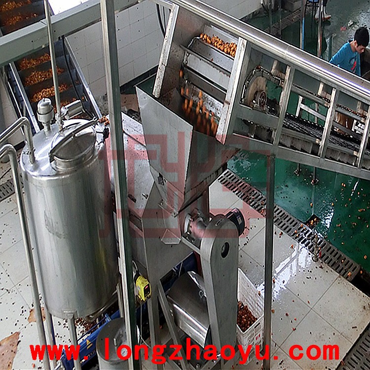 去核机 水果 荔枝 龙眼去皮 预煮水果 去核去皮机 水果深加工设备图4