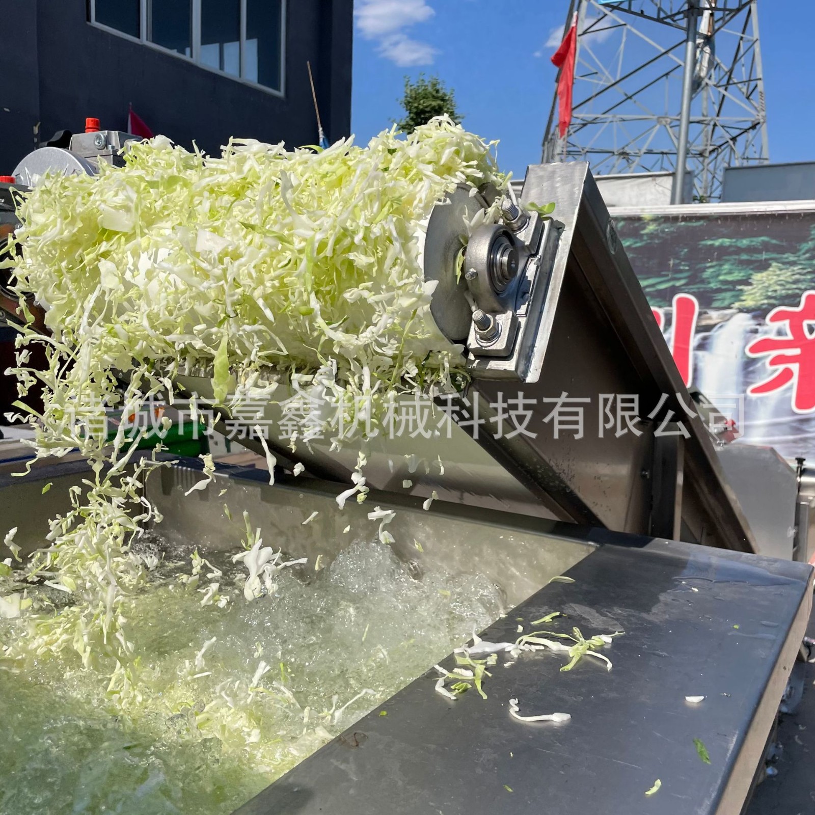 嘉鑫生产漩流芹菜段清洗机 多功能菜椒块涡流清洗震动沥水一体机图2