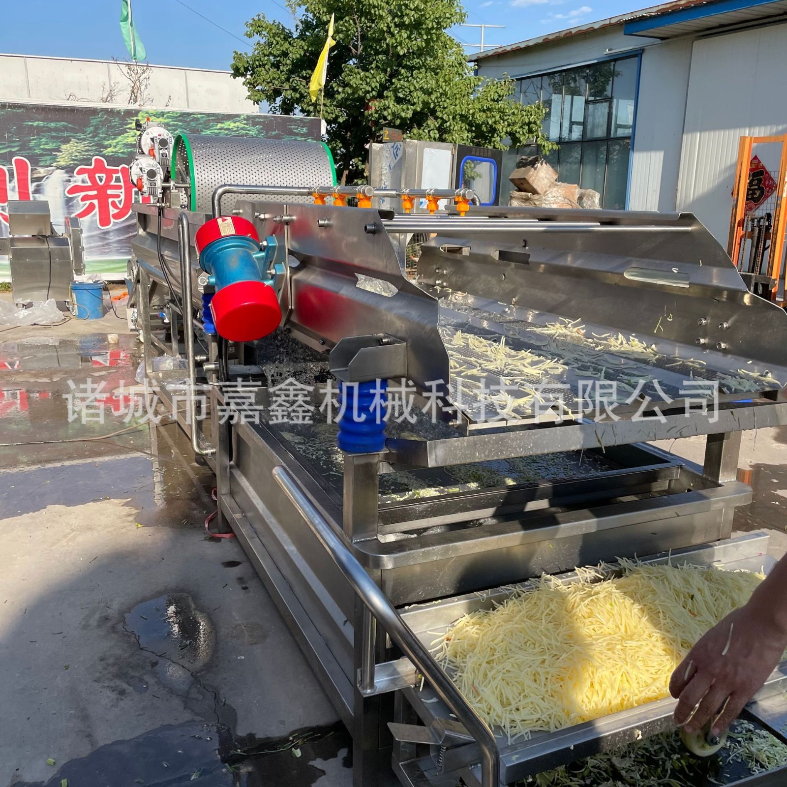 嘉鑫生产漩流芹菜段清洗机 多功能菜椒块涡流清洗震动沥水一体机图3