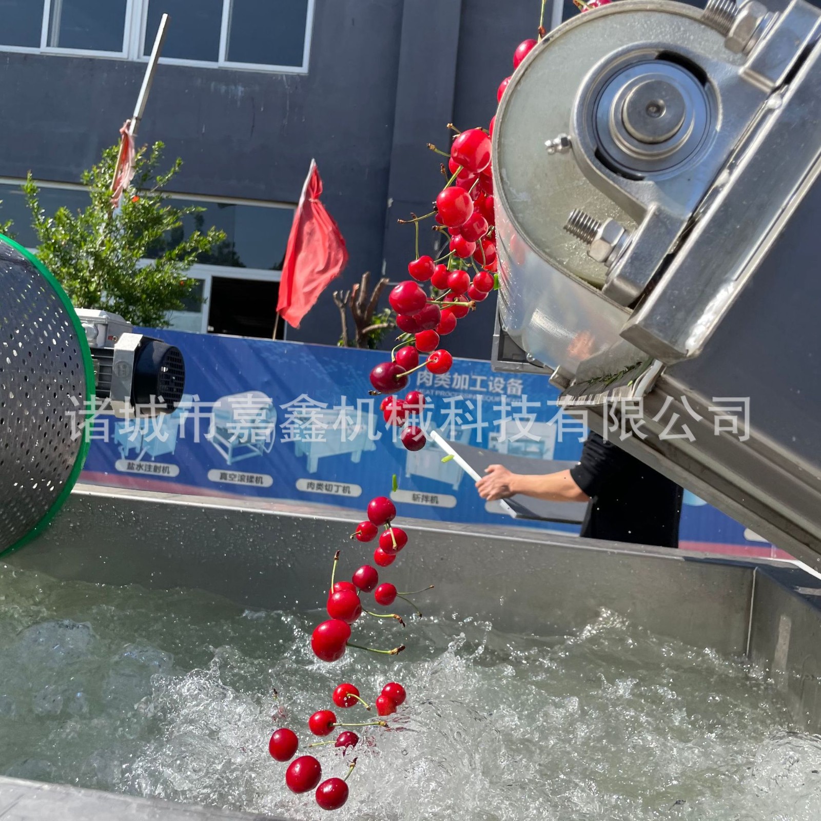 莴苣切片涡流震动清洗机姜片清洗机 全自动预制菜臭氧杀菌洗菜机图4