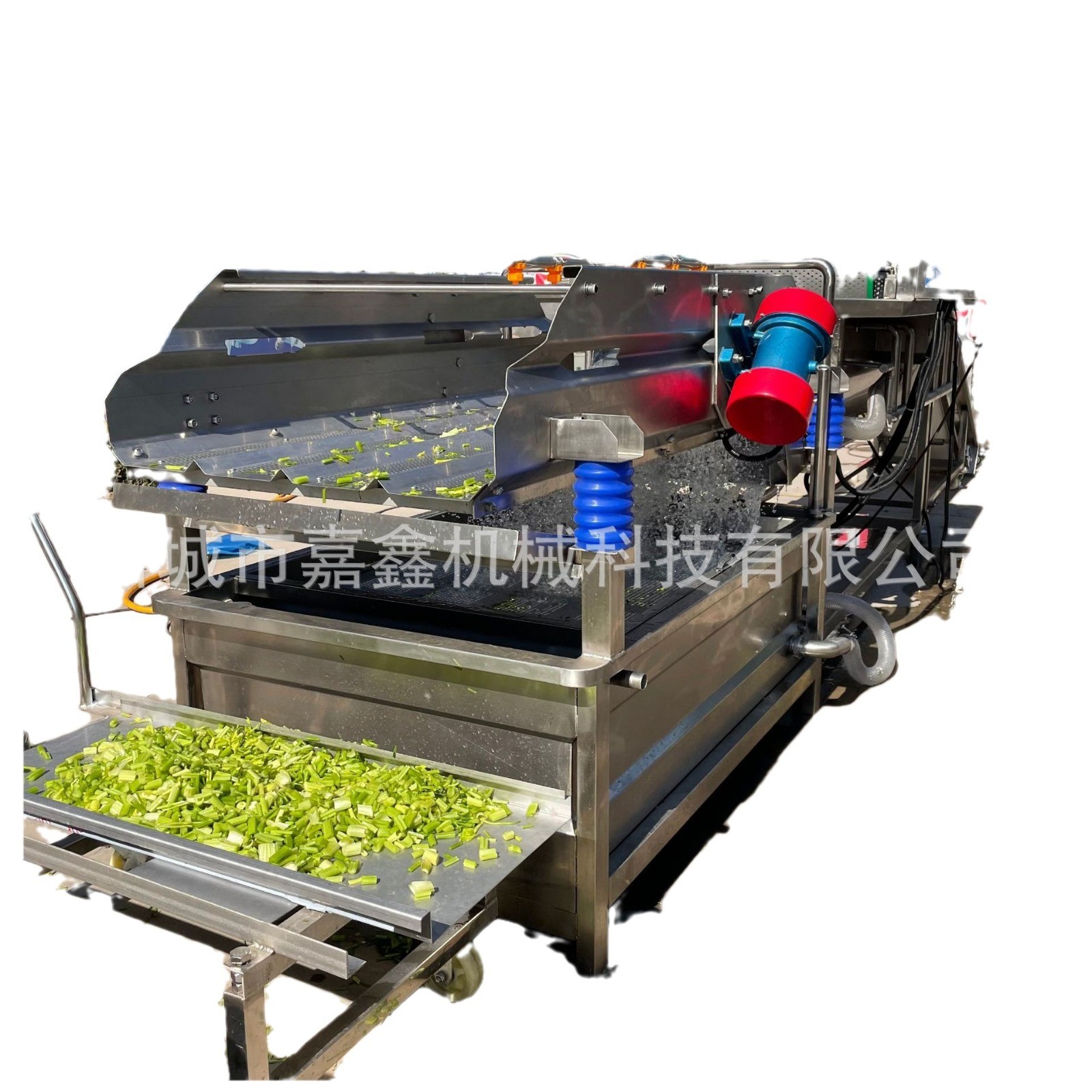 莴苣切片涡流震动清洗机姜片清洗机 全自动预制菜臭氧杀菌洗菜机图5