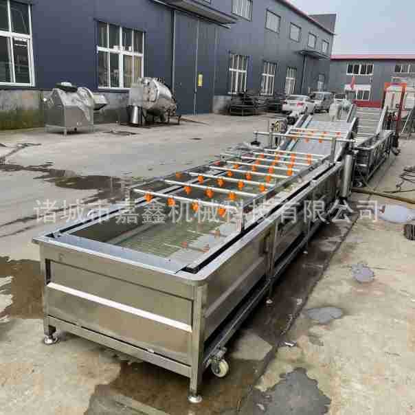 全自动海带清洗机 裙带菜气泡翻滚清洗设备 海白菜洗菜清洗流水线