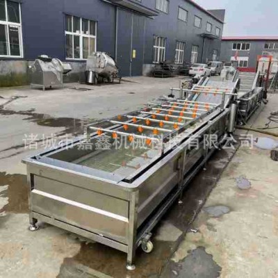 全自动海带清洗机 裙带菜气泡翻滚清洗设备 海白菜洗菜清洗流水线