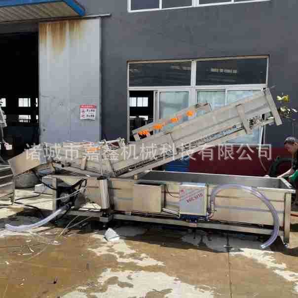 全自动海带清洗机 裙带菜气泡翻滚清洗设备 海白菜洗菜清洗流水线图3