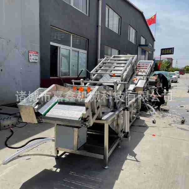 全自动海带清洗机 裙带菜气泡翻滚清洗设备 海白菜洗菜清洗流水线图4