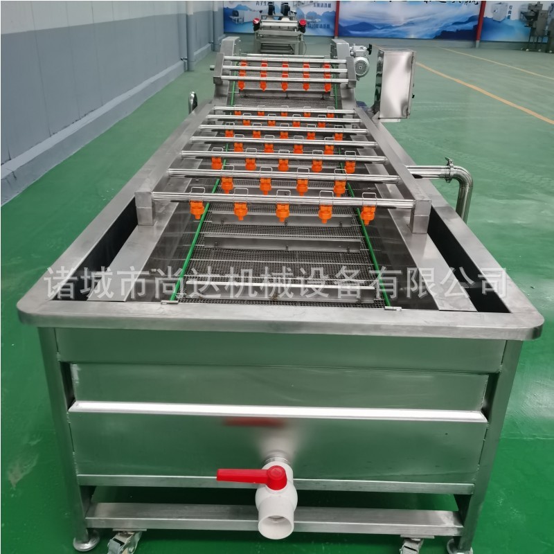 净菜加工成套流水线 去农残高压喷淋清洗机 气泡翻滚果蔬清洗机图2