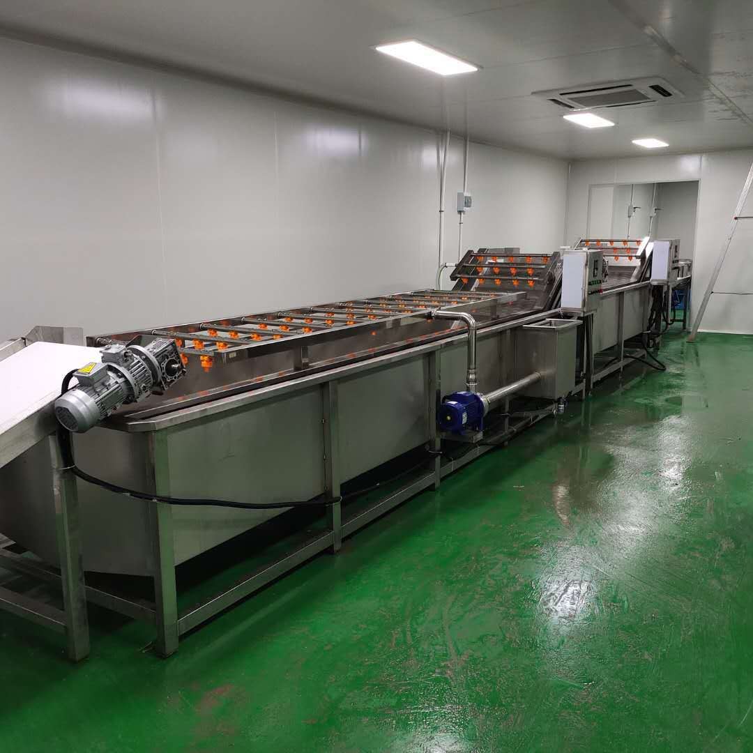 净菜加工成套流水线 去农残高压喷淋清洗机 气泡翻滚果蔬清洗机图3