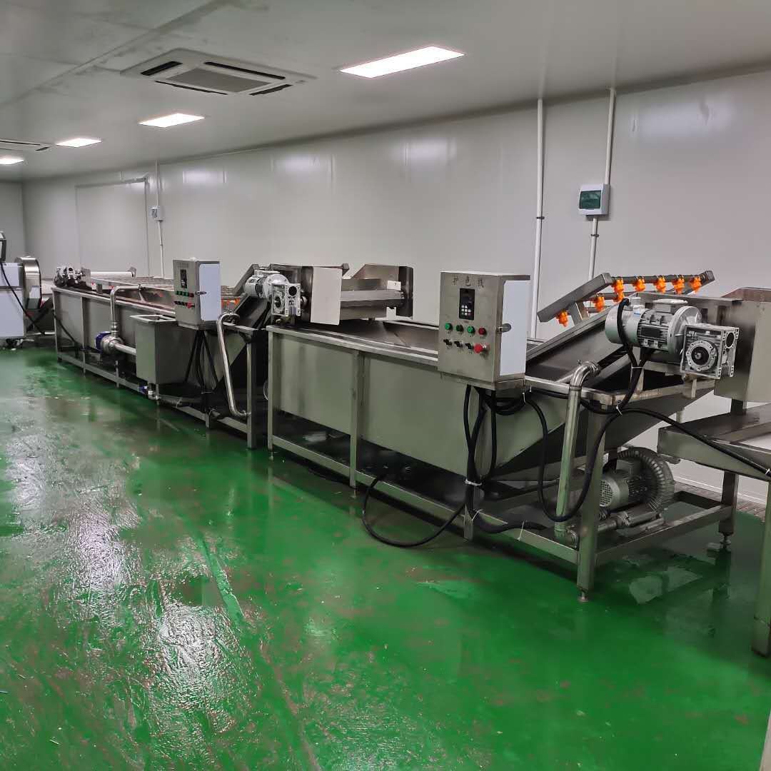 净菜加工成套流水线 去农残高压喷淋清洗机 气泡翻滚果蔬清洗机图4