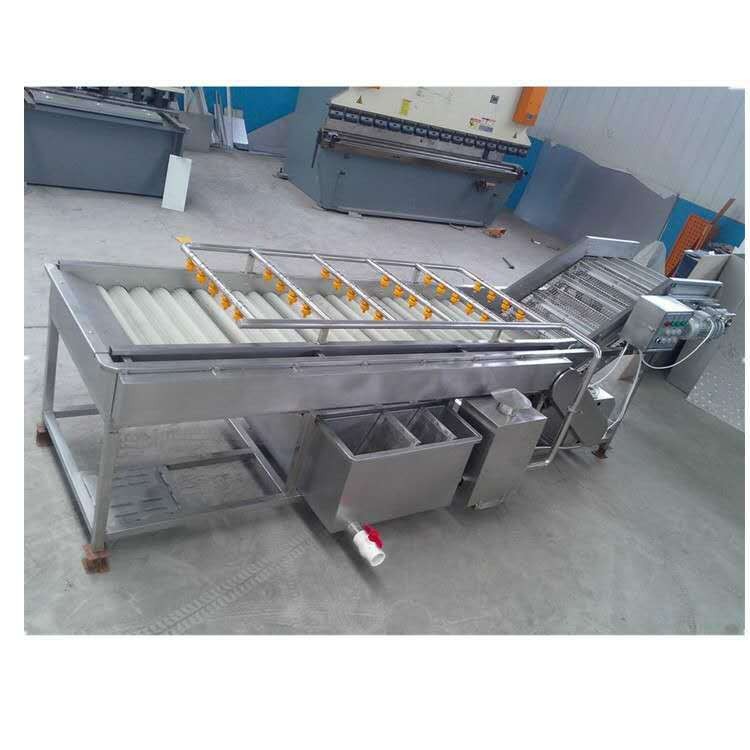 净菜加工成套流水线 去农残高压喷淋清洗机 气泡翻滚果蔬清洗机图5