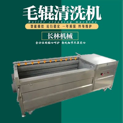 海产品清洗机 不锈钢毛刷清洗机 平行毛辊清洗机