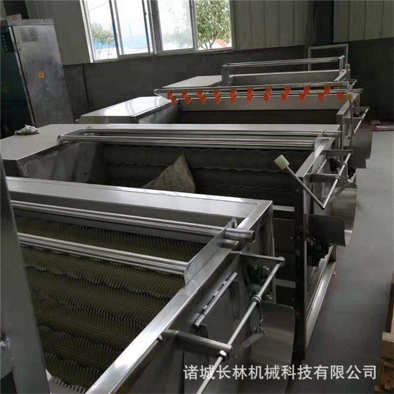 海产品清洗机 不锈钢毛刷清洗机 平行毛辊清洗机图4