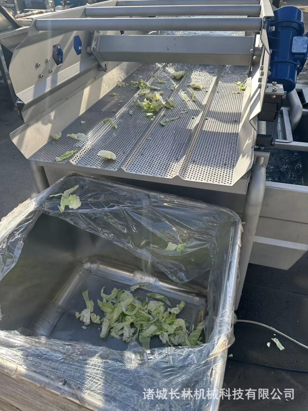 全自动涡流清洗机 涡流式碎菜清洗机 旋流式蔬菜清洗图4