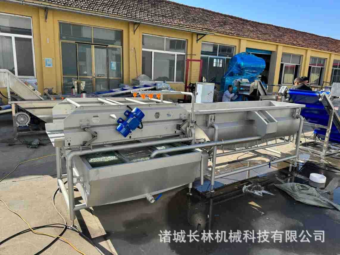 全自动涡流清洗机 涡流式碎菜清洗机 旋流式蔬菜清洗图3