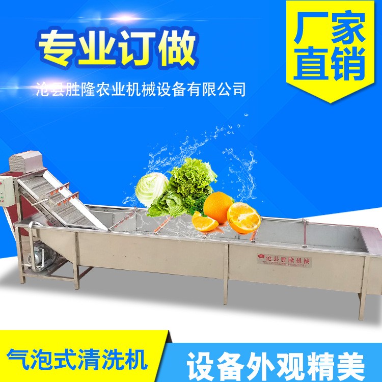 果蔬清洗机 毛辊清洗 气泡喷淋清洗 水浴式巴式杀菌工作流水线图3