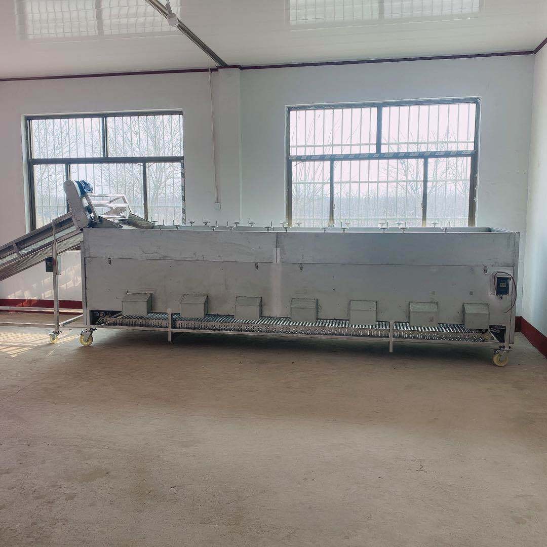 圣女果滚杠分级机辊杠 分级均匀 不伤表皮 厂销图2