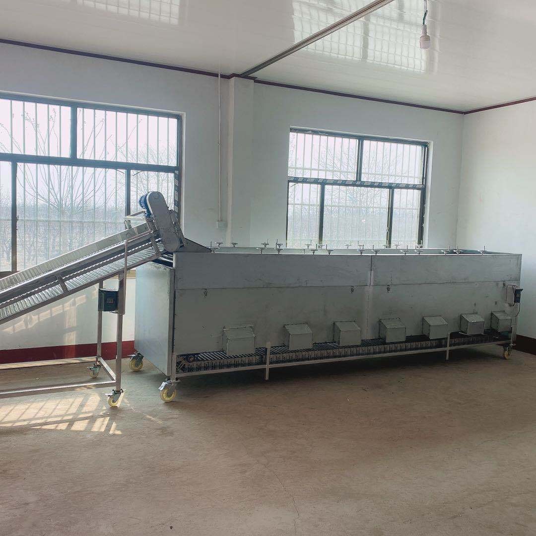 圣女果滚杠分级机辊杠 分级均匀 不伤表皮 厂销图3