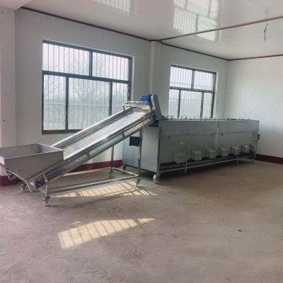 圣女果滚杠分级机辊杠 分级均匀 不伤表皮 厂销