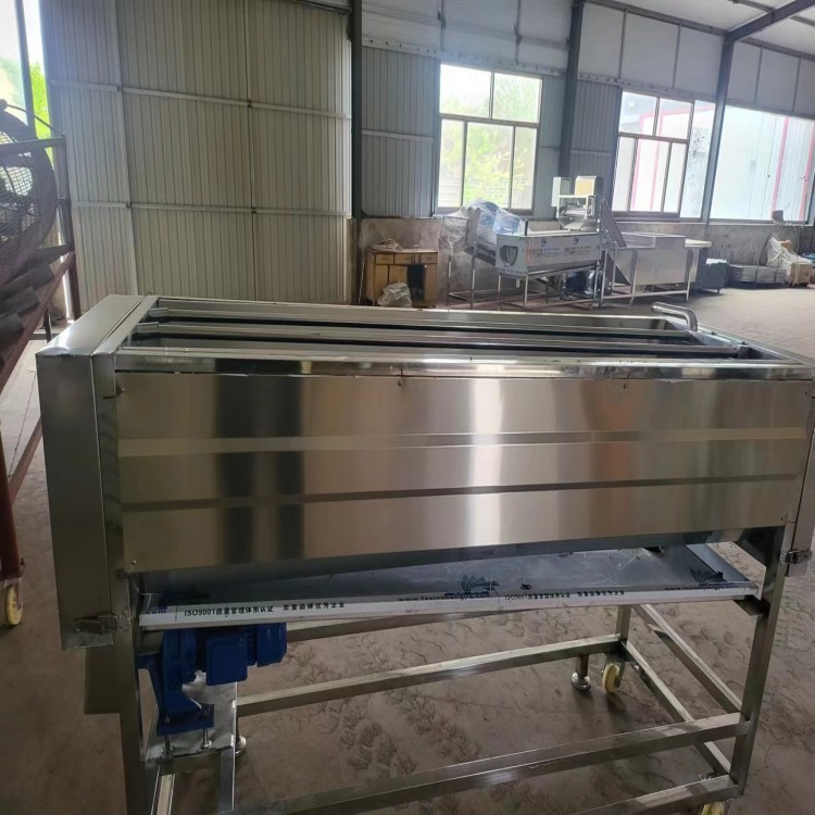 果蔬毛刷辊清洗抛光增亮机适用于红枣圆形等根果类物料清洗厂家图3