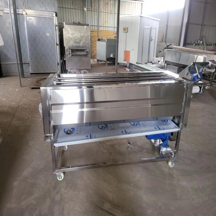 果蔬毛刷辊清洗抛光增亮机适用于红枣圆形等根果类物料清洗厂家图2