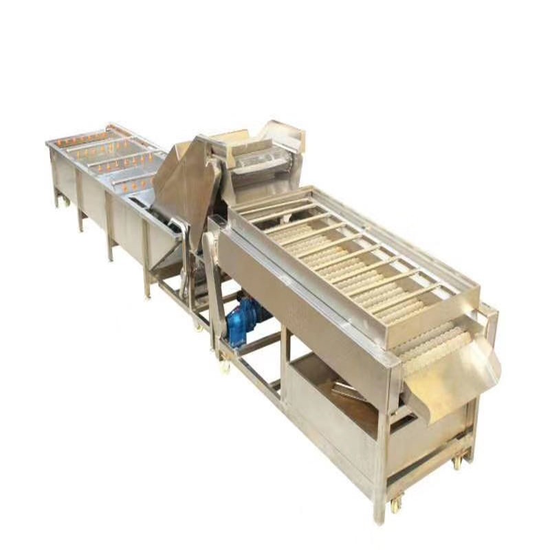 果蔬毛刷辊清洗抛光增亮机适用于红枣圆形等根果类物料清洗厂家图5