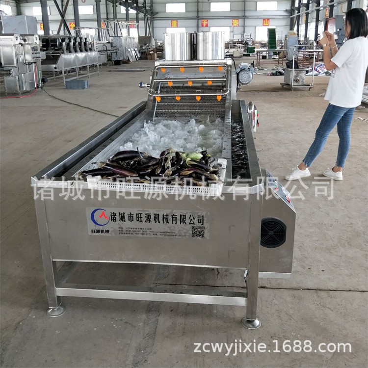 预制菜清洗流水线 芋头清洗机 自动喷淋清洗蔬菜设备 旺源图3