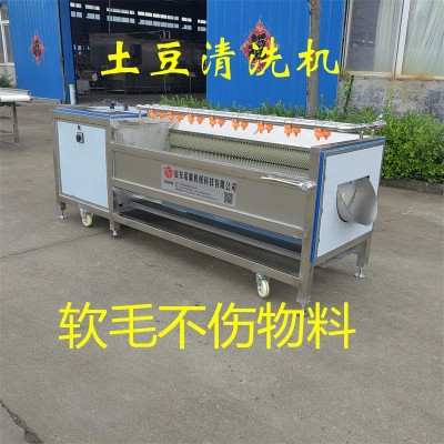 厂家供应U型毛棍清洗辣菜机 土豆清洗机 山药芋头清洗去皮机旺源