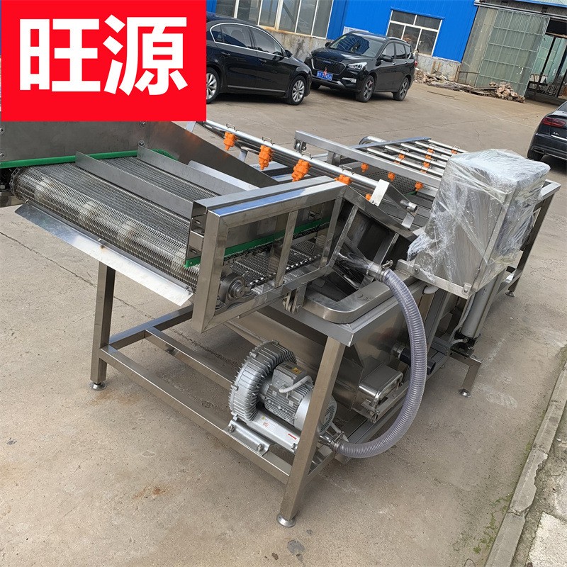 全自动气泡清洗机 果蔬气泡清洗线 苹果深加工设备 多功能清洗机图3