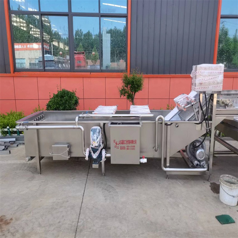 喷淋式瓜果气泡清洗设备 辣椒清洗机 预制菜加工设备 果蔬清洗机图2