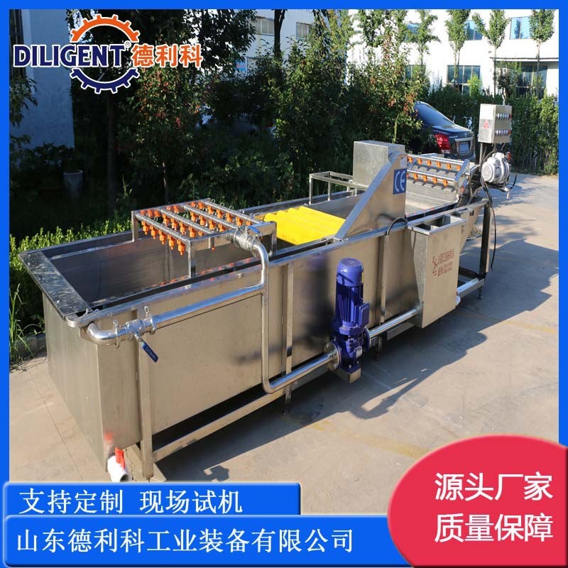 喷淋式瓜果气泡清洗设备 辣椒清洗机 预制菜加工设备 果蔬清洗机图3