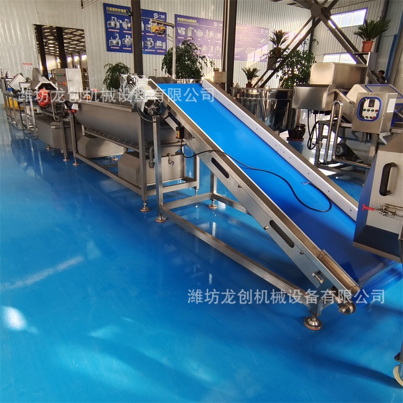 全自动涡流清洗机 净菜加工不伤品相 切菜旋流清洗沥水甩干设备图3