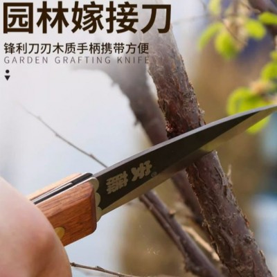 台湾安藤园林园艺工具 AT-A408苗木嫁接刀果树稼接工具折叠芽接刀