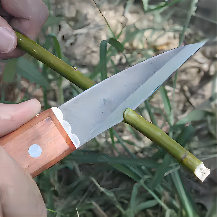 台湾安藤园林园艺工具 AT-A408苗木嫁接刀果树稼接工具折叠芽接刀图3