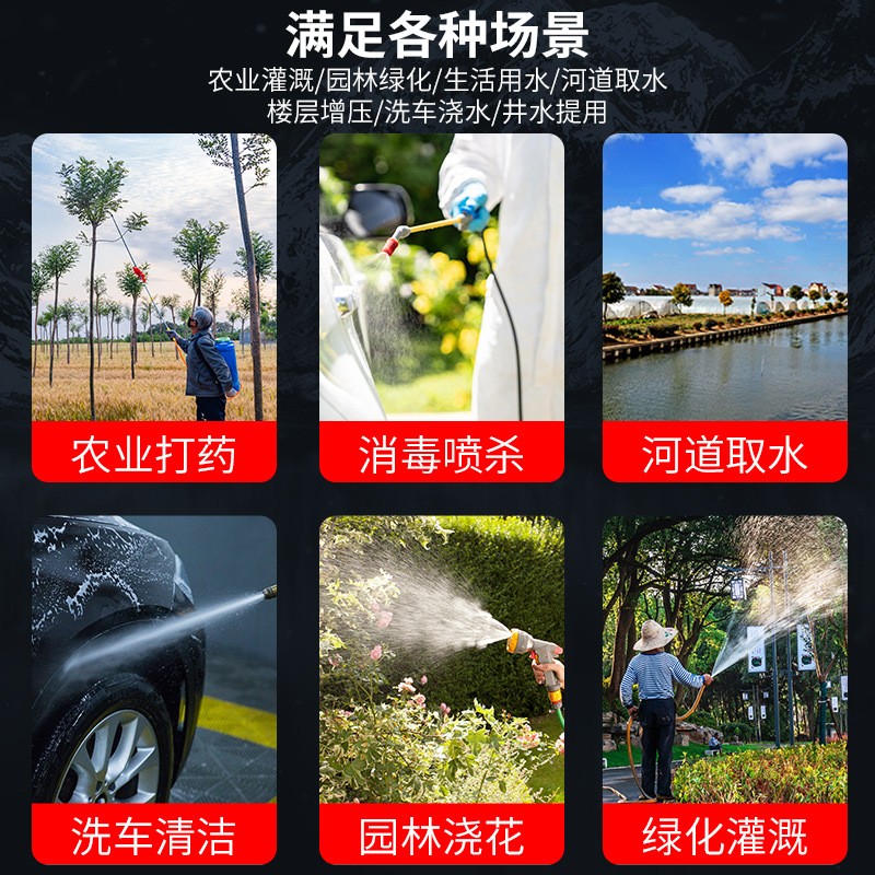 福达直销喷雾器水泵 微型高压大流量纯铜芯电泵 电动喷雾器隔膜泵图5