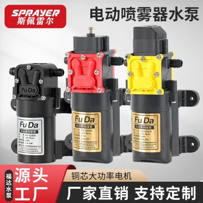 福达直销喷雾器水泵 微型高压大流量纯铜芯电泵 电动喷雾器隔膜泵