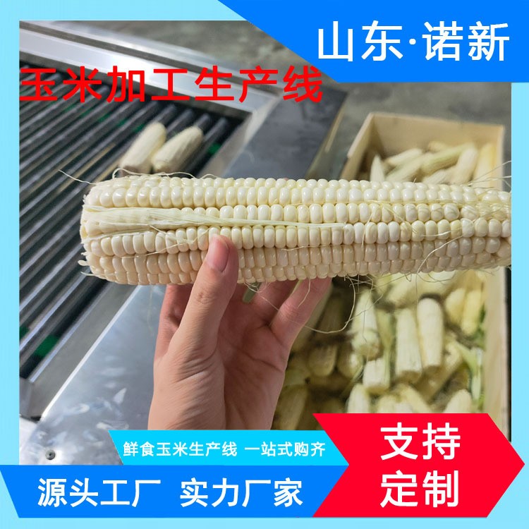 即食玉米加工生产线 鲜玉米深加工蒸煮漂烫设备 玉米加工设备图4