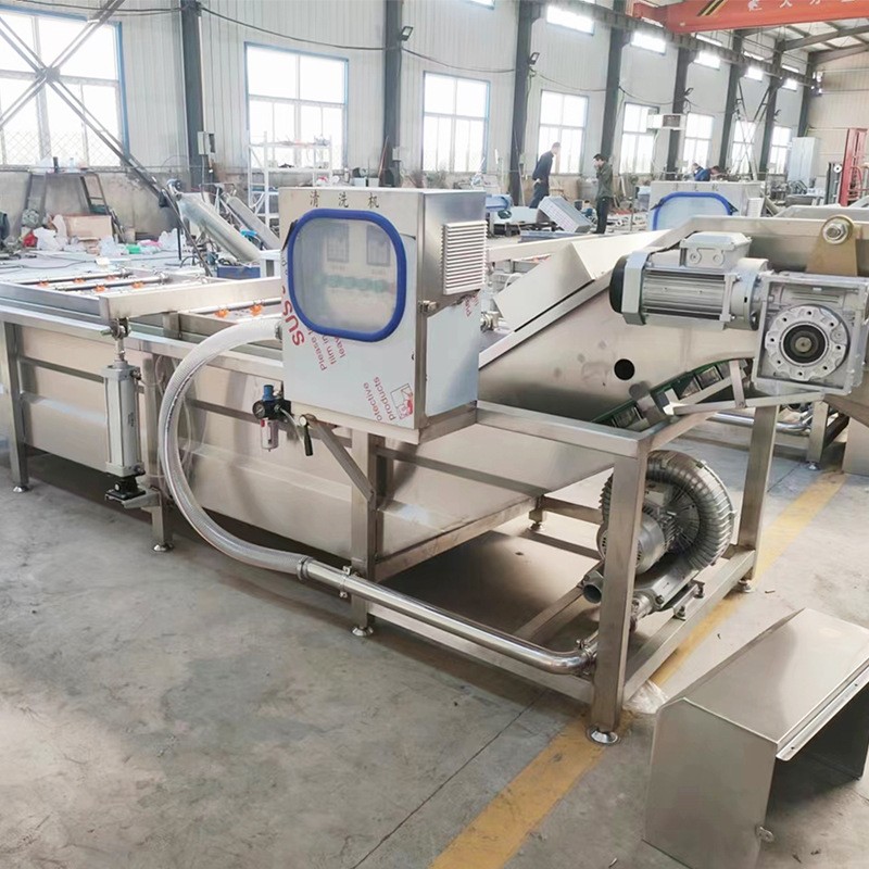 莲藕高压气泡清洗机 果蔬根茎类食品喷淋清洗设备 净菜加工流水线图2