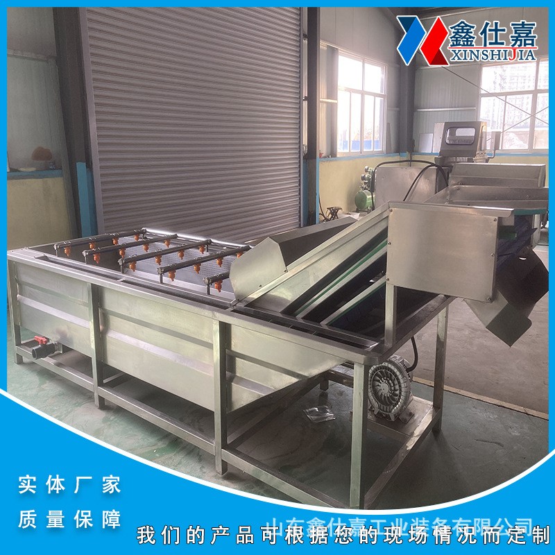 马蹄果荸荠去泥去皮清洗设备核桃花生去泥清洗机莲藕去污流水线图3