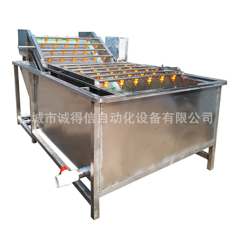 源头厂家供应杨梅黄桃气泡清洗机 全自动高压喷淋清洗机图3