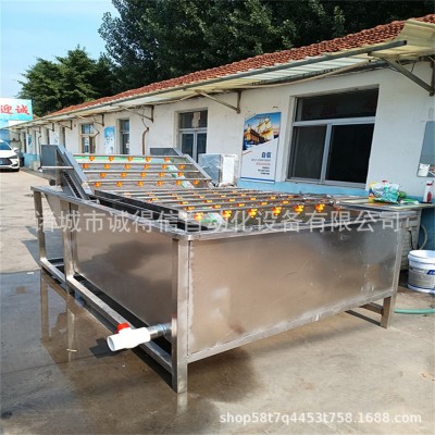 源头厂家供应杨梅黄桃气泡清洗机 全自动高压喷淋清洗机