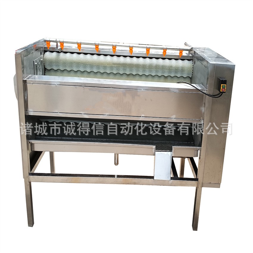 全自动毛辊脱皮清洗机 土豆萝卜莲藕脱皮清洗设备图5
