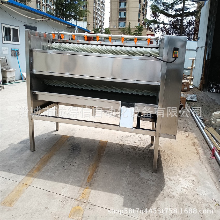 全自动毛辊脱皮清洗机 土豆萝卜莲藕脱皮清洗设备图3
