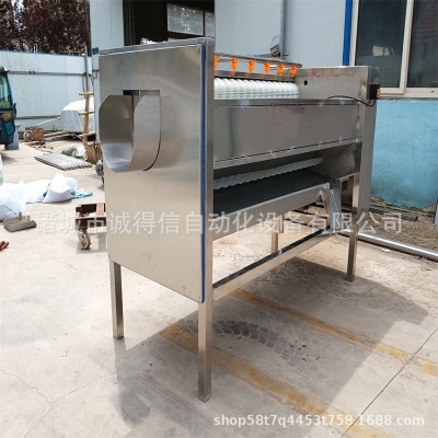 全自动毛辊脱皮清洗机 土豆萝卜莲藕脱皮清洗设备